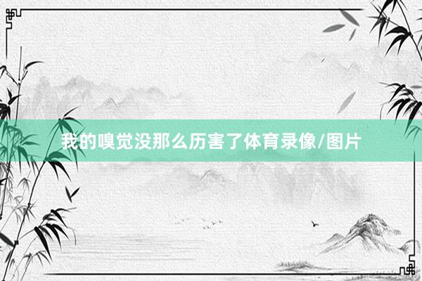 我的嗅觉没那么历害了体育录像/图片