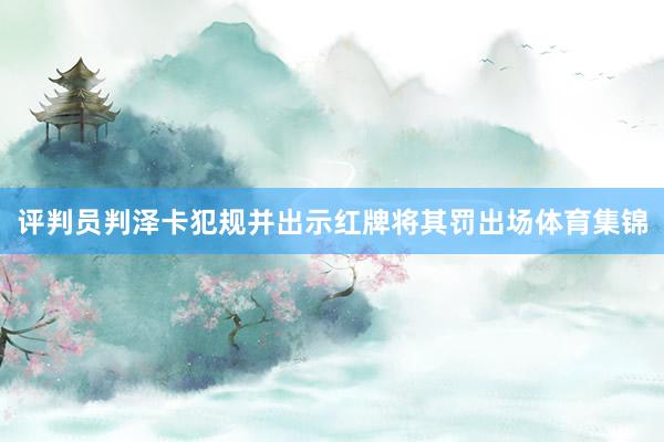 评判员判泽卡犯规并出示红牌将其罚出场体育集锦