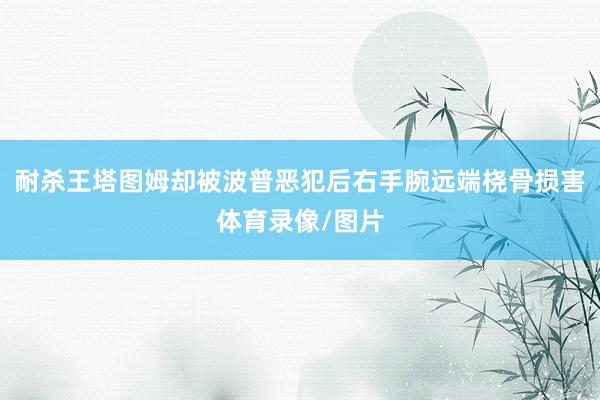 耐杀王塔图姆却被波普恶犯后右手腕远端桡骨损害体育录像/图片