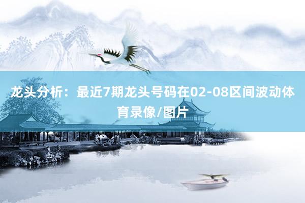龙头分析：最近7期龙头号码在02-08区间波动体育录像/图片