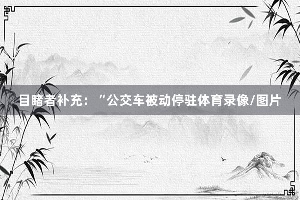 目睹者补充：“公交车被动停驻体育录像/图片