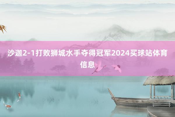 沙迦2-1打败狮城水手夺得冠军2024买球站体育信息