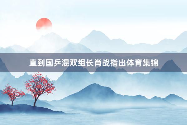 直到国乒混双组长肖战指出体育集锦