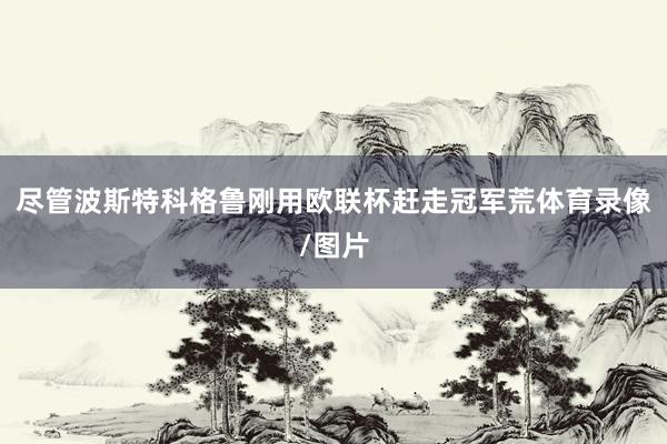 尽管波斯特科格鲁刚用欧联杯赶走冠军荒体育录像/图片