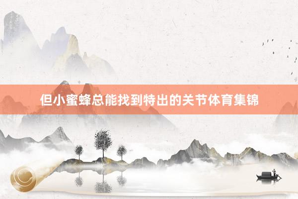 但小蜜蜂总能找到特出的关节体育集锦