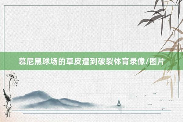 慕尼黑球场的草皮遭到破裂体育录像/图片