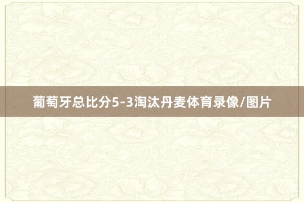 葡萄牙总比分5-3淘汰丹麦体育录像/图片