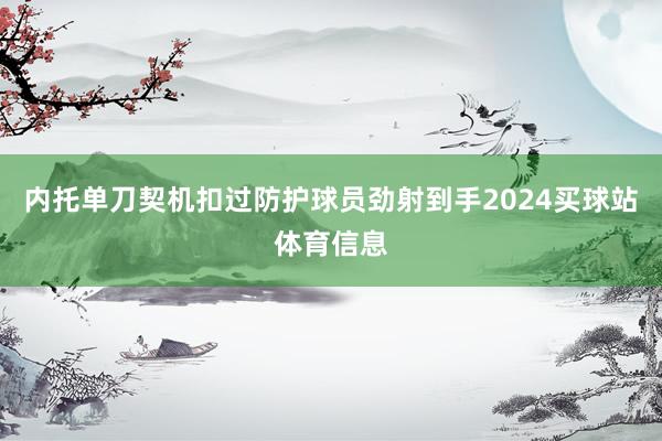 内托单刀契机扣过防护球员劲射到手2024买球站体育信息