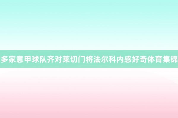 多家意甲球队齐对莱切门将法尔科内感好奇体育集锦