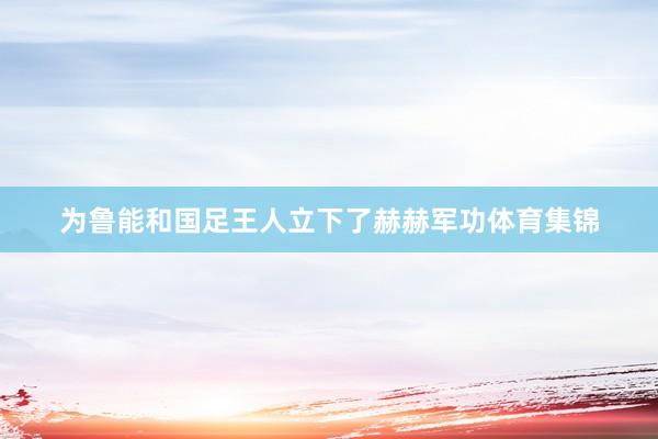 为鲁能和国足王人立下了赫赫军功体育集锦