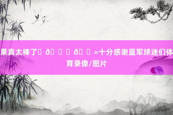 果真太棒了✨🙏🏻十分感谢蓝军球迷们体育录像/图片