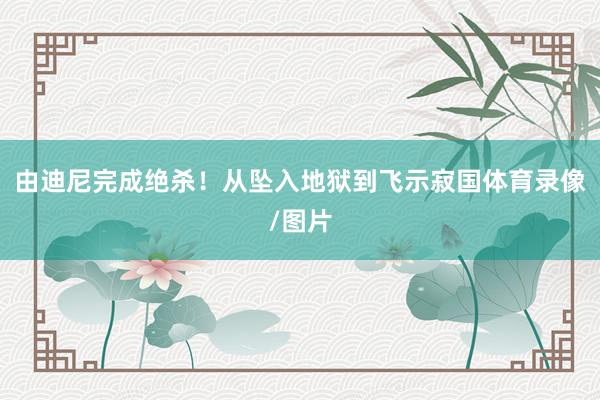 由迪尼完成绝杀！从坠入地狱到飞示寂国体育录像/图片