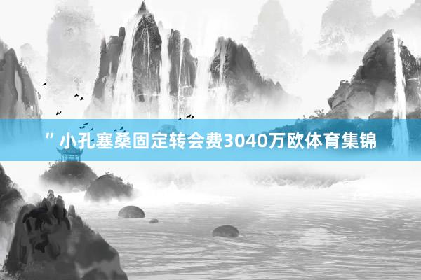 ”小孔塞桑固定转会费3040万欧体育集锦