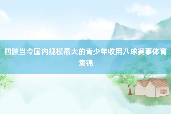 四肢当今国内规模最大的青少年收用八球赛事体育集锦
