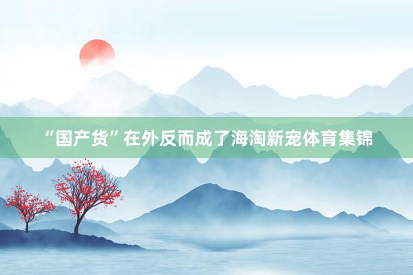 “国产货”在外反而成了海淘新宠体育集锦