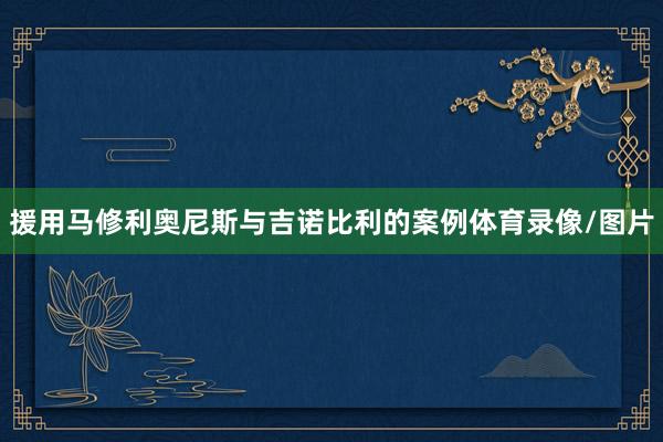 援用马修利奥尼斯与吉诺比利的案例体育录像/图片