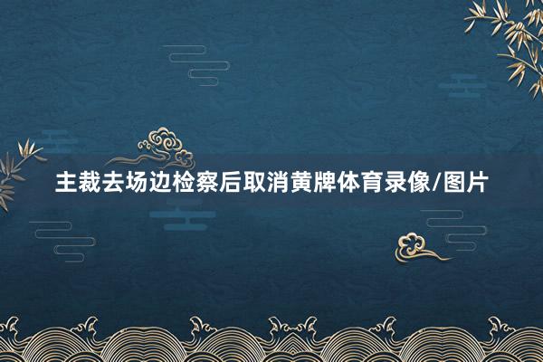 主裁去场边检察后取消黄牌体育录像/图片