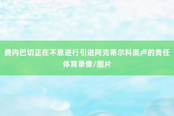 费内巴切正在不息进行引进阿克蒂尔科奥卢的责任体育录像/图片