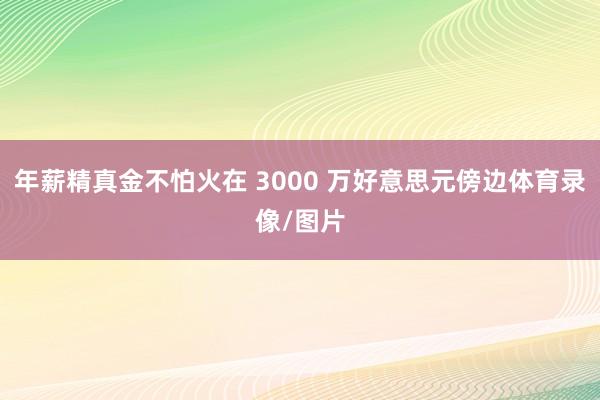 年薪精真金不怕火在 3000 万好意思元傍边体育录像/图片
