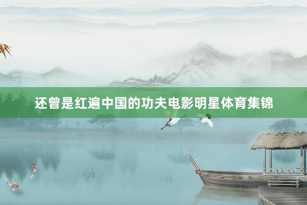 还曾是红遍中国的功夫电影明星体育集锦