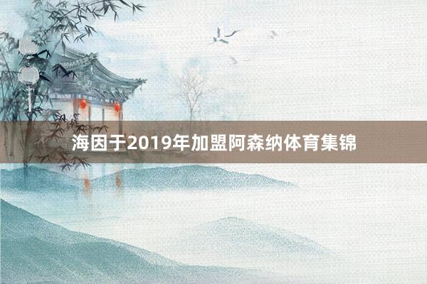 海因于2019年加盟阿森纳体育集锦