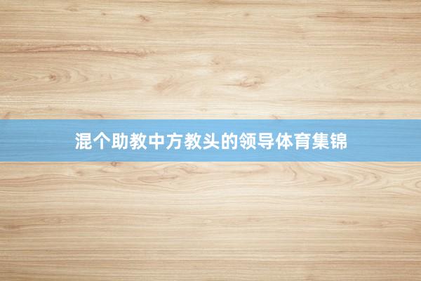 混个助教中方教头的领导体育集锦