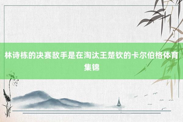 林诗栋的决赛敌手是在淘汰王楚钦的卡尔伯格体育集锦