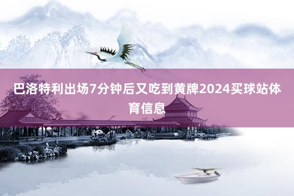 巴洛特利出场7分钟后又吃到黄牌2024买球站体育信息