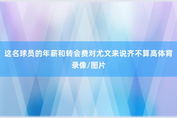这名球员的年薪和转会费对尤文来说齐不算高体育录像/图片