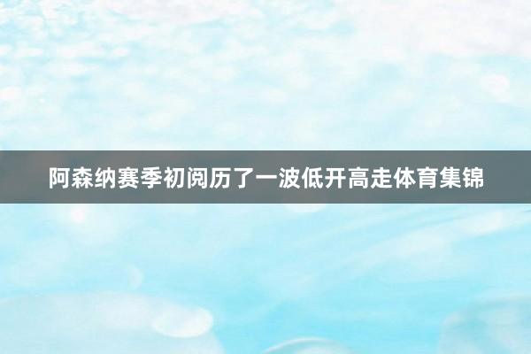 阿森纳赛季初阅历了一波低开高走体育集锦