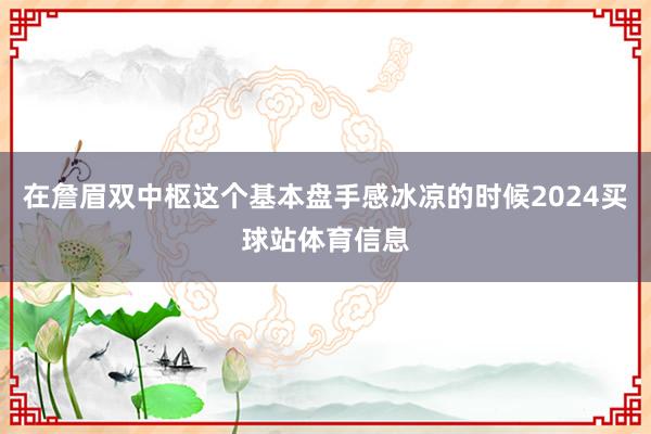 在詹眉双中枢这个基本盘手感冰凉的时候2024买球站体育信息