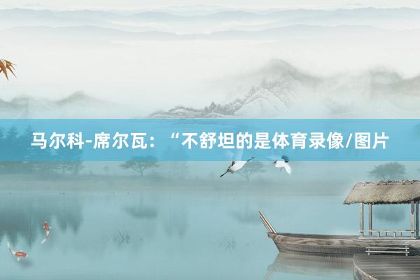 马尔科-席尔瓦：“不舒坦的是体育录像/图片