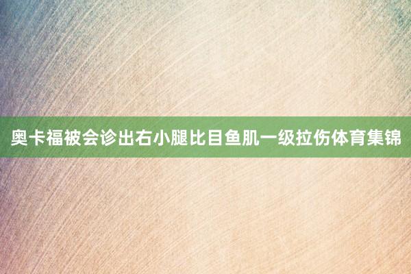 奥卡福被会诊出右小腿比目鱼肌一级拉伤体育集锦