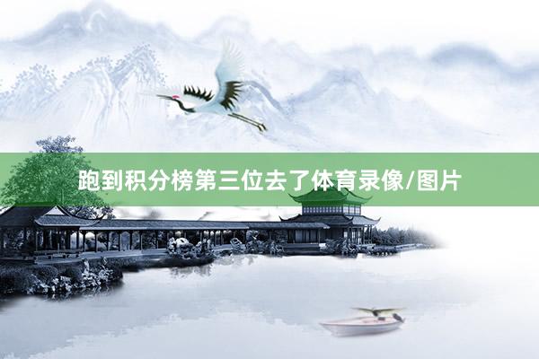 跑到积分榜第三位去了体育录像/图片