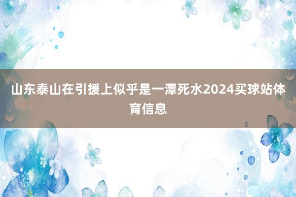山东泰山在引援上似乎是一潭死水2024买球站体育信息