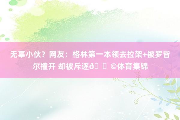 无辜小伙？网友：格林第一本领去拉架+被罗皆尔撞开 却被斥逐😩体育集锦