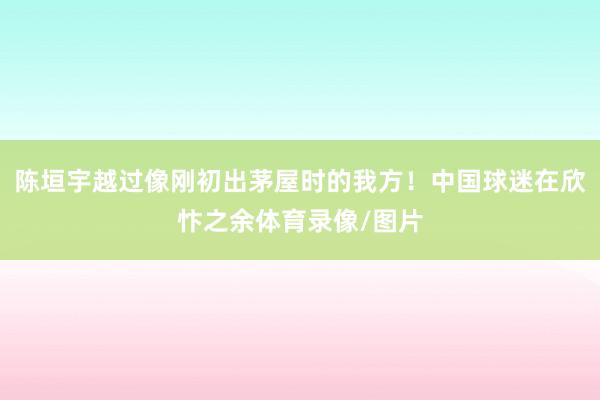 陈垣宇越过像刚初出茅屋时的我方！中国球迷在欣忭之余体育录像/图片