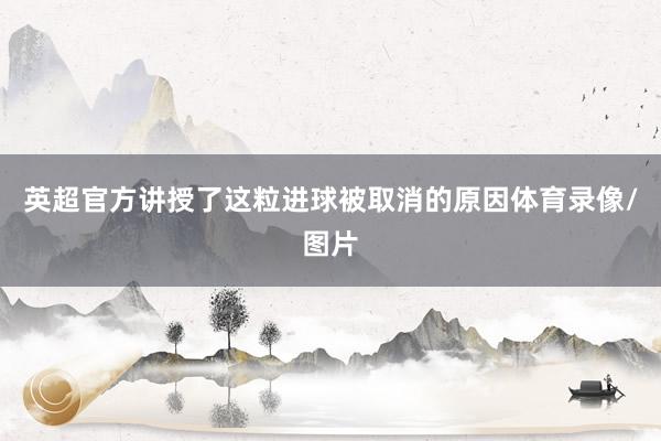英超官方讲授了这粒进球被取消的原因体育录像/图片