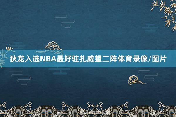 狄龙入选NBA最好驻扎威望二阵体育录像/图片