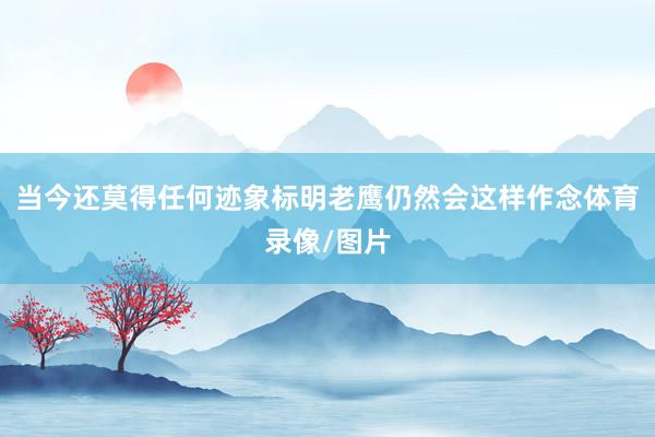 当今还莫得任何迹象标明老鹰仍然会这样作念体育录像/图片