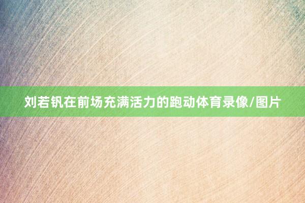 刘若钒在前场充满活力的跑动体育录像/图片
