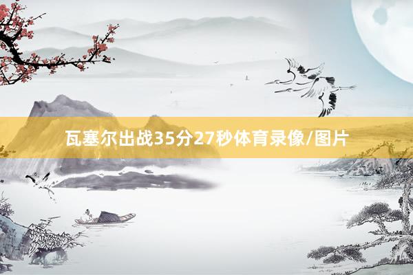 瓦塞尔出战35分27秒体育录像/图片