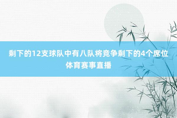 剩下的12支球队中有八队将竞争剩下的4个席位体育赛事直播