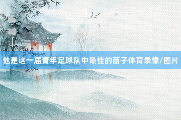 他是这一届青年足球队中最佳的苗子体育录像/图片